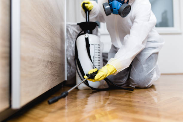 Best Pest Removal Services  in Inola, OK