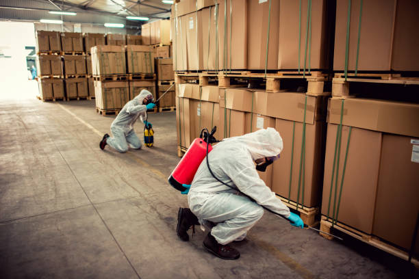 Best Flea Control Services  in Inola, OK
