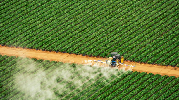 Best Mosquito Control Services  in Inola, OK