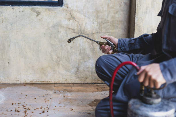 Best Pest Control Near Me  in Inola, OK